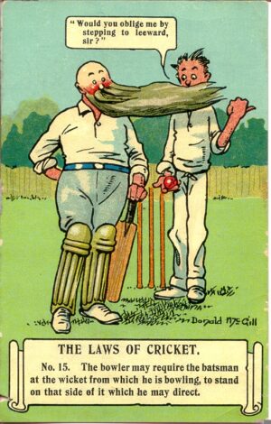 Cricket No. 15