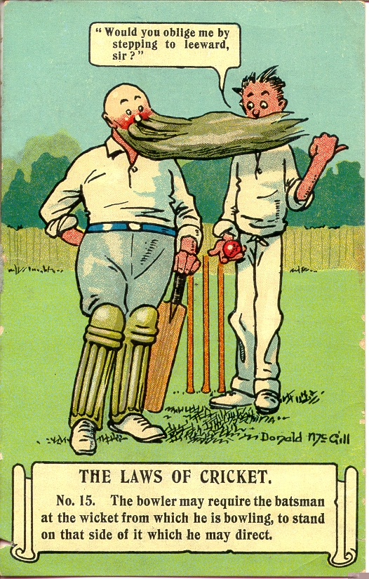 Cricket No. 15